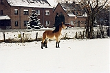 o schnee